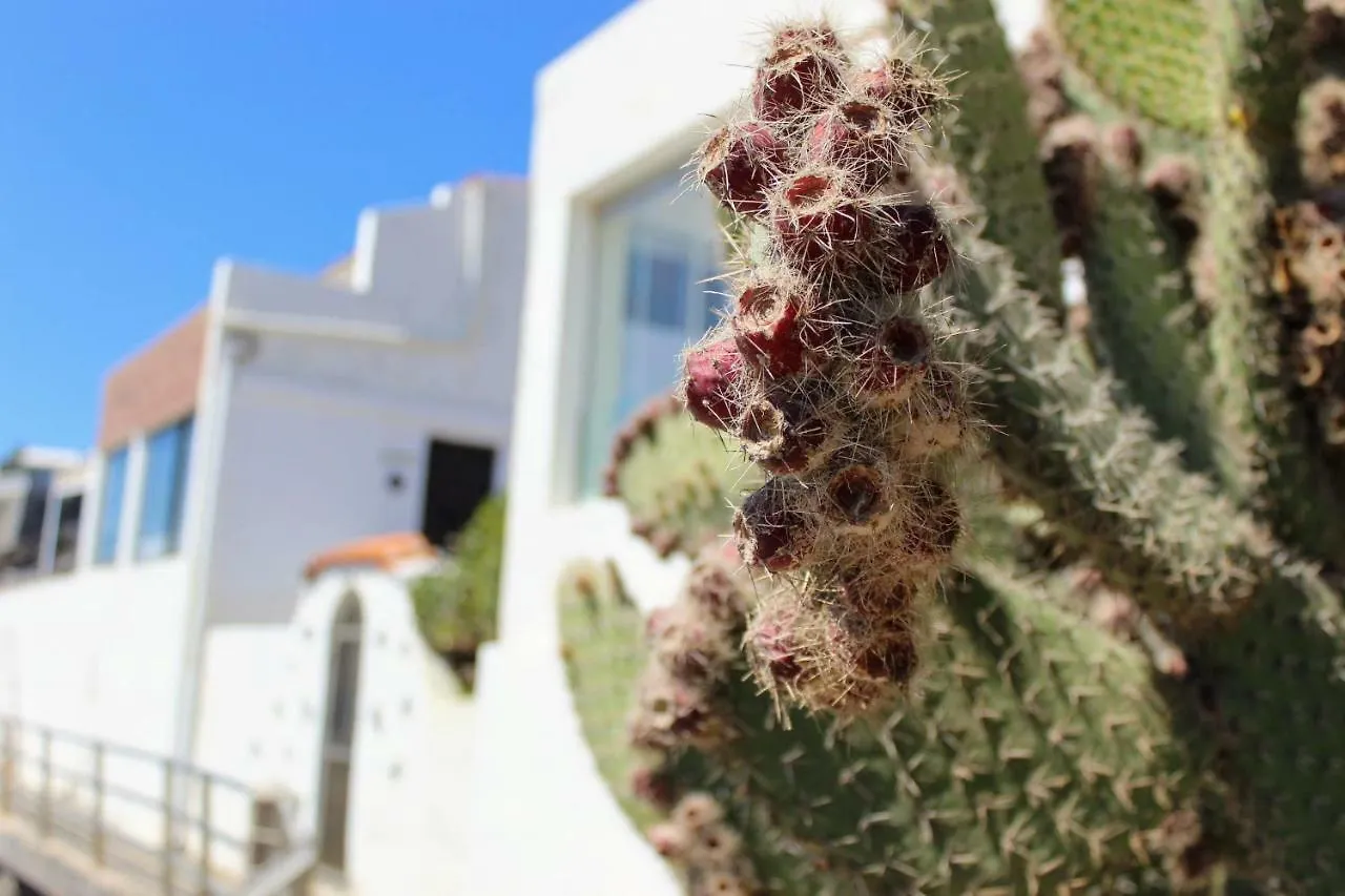 Bougainvillea Apartment Bamira Maspalomas